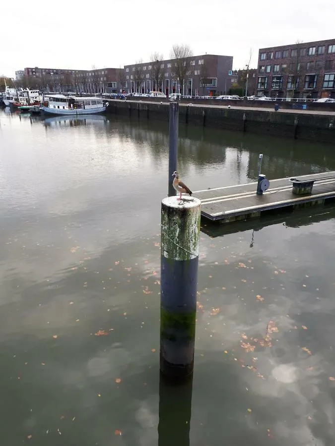 B&B Unitas Rotterdam 0*,